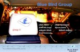 Blue bird group group 5