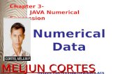 MELJUN CORTES Java Numerical Data Types Expressions