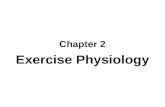 Exercise phys updated