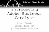 Introduction to Adobe Catalyst