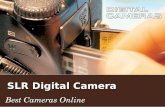 Slr digital camera