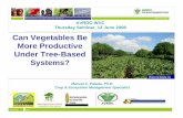 Vegetables in agroforestry systems