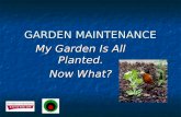 Garden Maintenance Rev