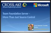 Team foundation server - more than source control