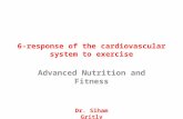 6 response of the cardiovascular system to exercise