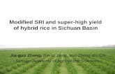 1004 Modified SRI and super-high yield of hybrid rice in Sichuan Basin