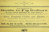 Benson's Guide to Fig Culture in the Open Ground at the North: by Martin Benson (1886)