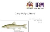 Carp Polyculture Presentation