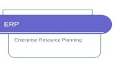 What Is Enterprise Resource Planning System