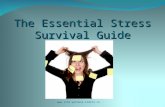 The essential stress survival guide