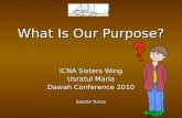 What is Our Purpose?