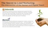 The secret to lead nurturing