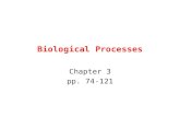 Chapter3 biological processes