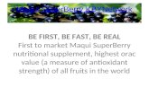 Maqui SuperBerry Opportunity - Home Business with KBYNetwork
