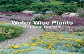 Water Wise Plants for Santa Barbara