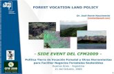 Forest Vocation Land Policy. Concepts