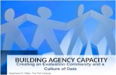 Building agency capacity