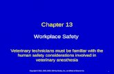 13. Workplace Safety