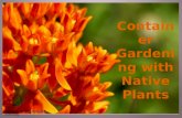 Gardening with Native Plants - Container Gardening