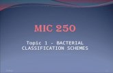 (A) 1 bacterial classification schemes new