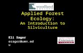 Growing and Tending Your Forest: An introduction to silviculture