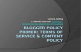 Net303 Blogger Policy Primer