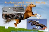 Professional Horse Racing Betting Guide