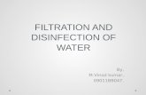 Filtration and disinfection of water
