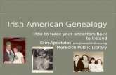 Irish american genealogy 2
