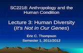 Sc2218 lecture 3 (2011)