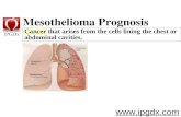Mesothelioma Prognosis