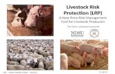 Livestock Risk Protection (LRP)