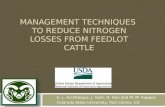 Management Techniques to Reduce Nitrogen Losses from Feedlot Cattle