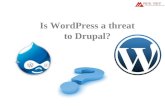 Is wordpress a threat to drupal