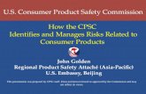 How The CPSC Identifies and Manages Risks Related to Consumer Products (English)