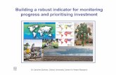 Building a robust indicator for monitoring progress and prioritising investment