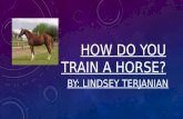 Genius hour: All about horses