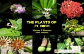 "The Plants of El Nido, Palawan" by Ulysses Ferreras
