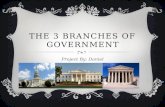 The 3 Branches of Government by Daniel