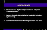 LYME DISEASE Other names: Erythema (chronicum) migrans, Lyme ...