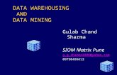 Gulabs Ppt On Data Warehousing And Mining