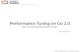 Perfomance tuning on Go 2.0