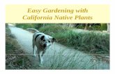 Easy Gardening with California Native Plants Manual