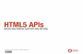 HTML5 APIs - native multimedia support and beyond - University of Leeds 05.05.2011