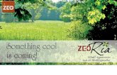 Zed ria marketing ppt