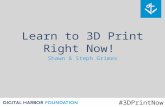 Learn to 3D Print Right Now