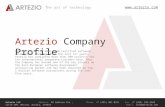 2013 Artezio Company Profile eng