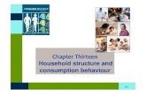 BB Chapter Thirteen : Household Structure And Consumption Behavior