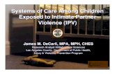 Intimate Partner Violence (Ipv) Systems With Background