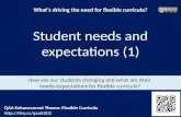 Flexible Curricula Viewpoints cards - Drivers and needs for flexible curricula